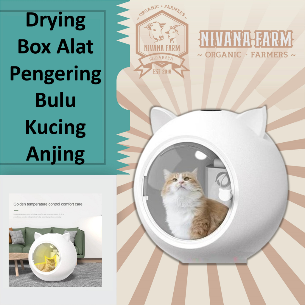 Drying Box Alat Pengering Bulu Kucing Anjing