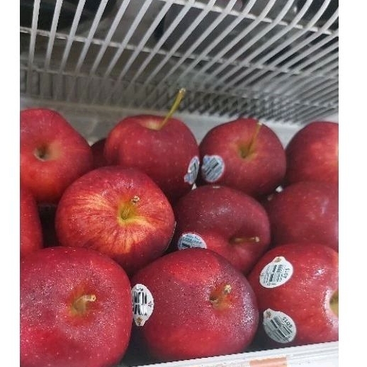 

Apel Red Del USA - 1kg |Apel Manis|Apel Lembut|Buah Segar