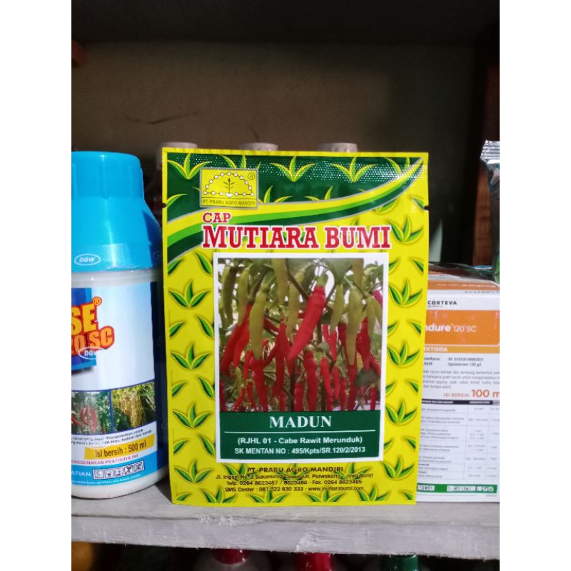 benih cabai rawit Madun kemasan 10 gram original pack