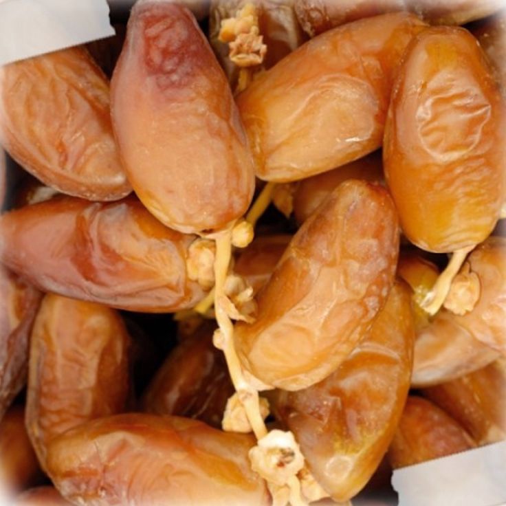 

Kurma Tunisia Tangkai 1kgkurma tunisia tangkai fress