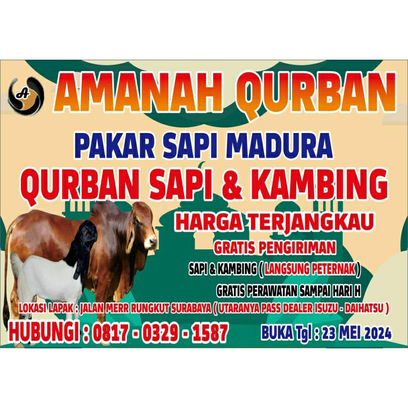 Sapi qurban 2024 Sapi Madura Murah Free Ongkir & Gratis Perawatan