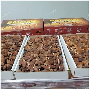 

KURMA TUNIS TANGKAI 5KG, KURMA TUNIS MADU 5KG, KURMA DATES CROWN 5KG