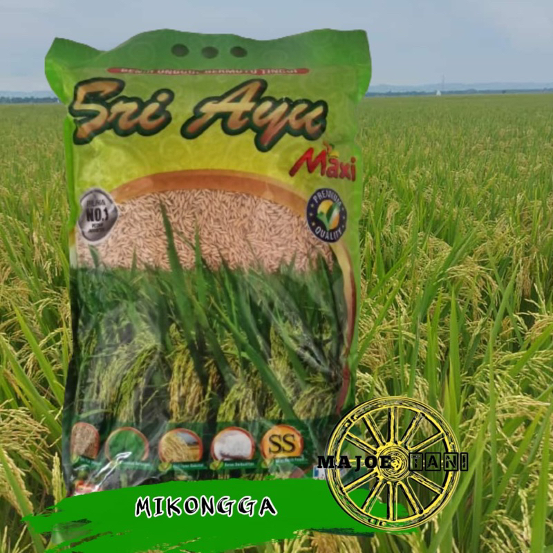 benih padi mikongga sri ayu 5kg
