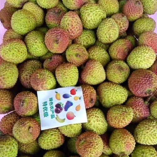 

Buah Leci Madu Hijau