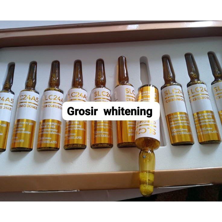 Terbaru 33 chromosome slc24a5 gold 1ml chromosome gold