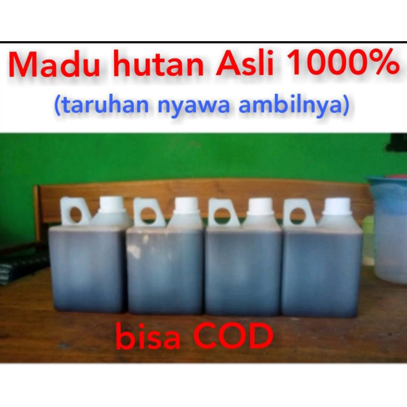 

madu hutan asli