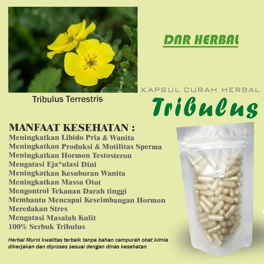 Kapsul Curah Herbal TRIBULUS Testosteron Libido Booster EDI Aphrodisiac Stamina Hipertensi Maag