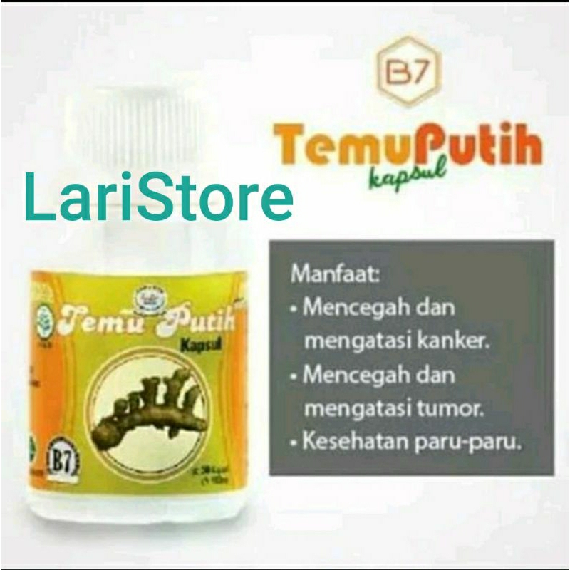 kunyit putih/kapsul kunyit putih/B7