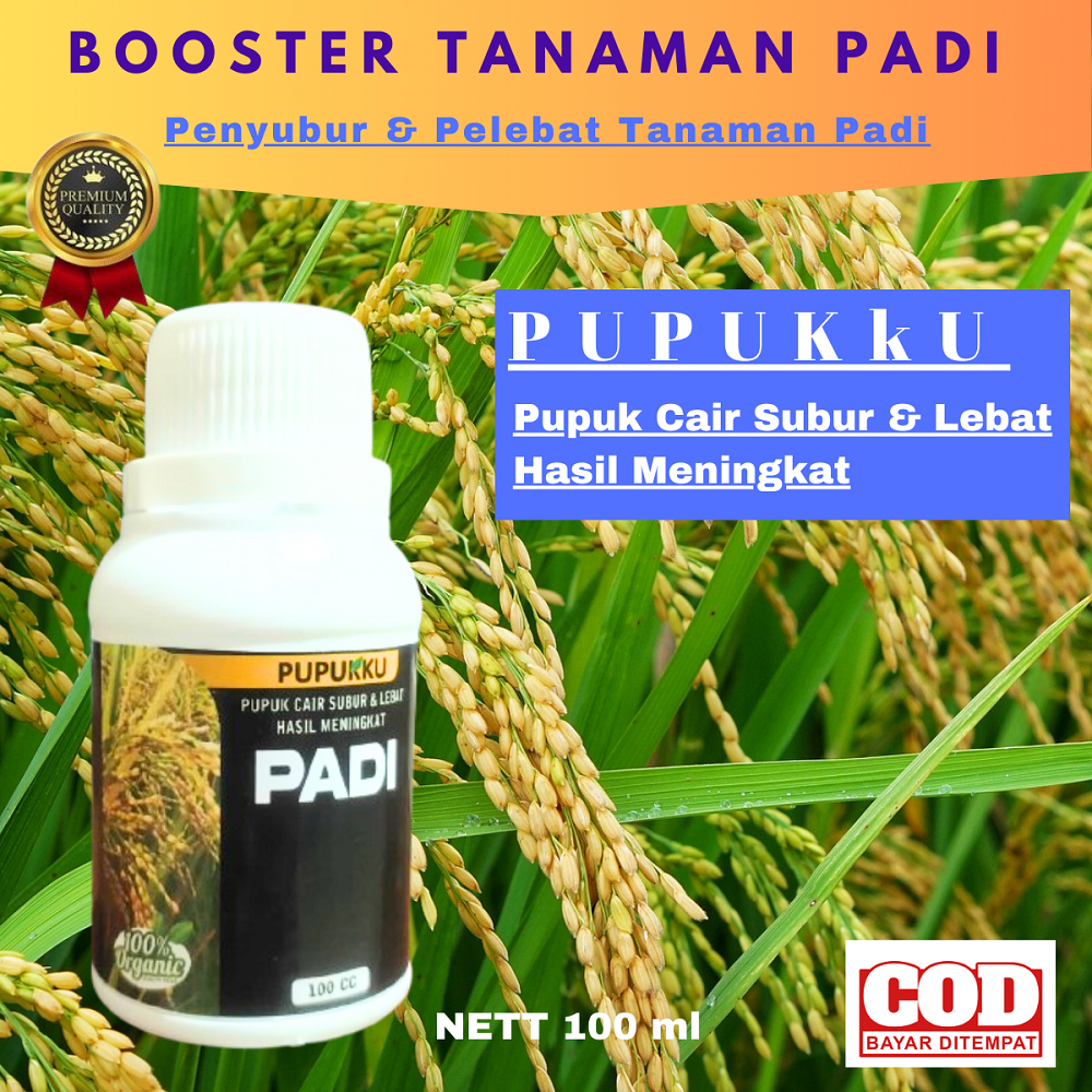 Pupuk Padi Semprot Pupuk Penyubur Padi Sawah Terbaik Booster Padi Pupukku organik Cair Untuk Padi