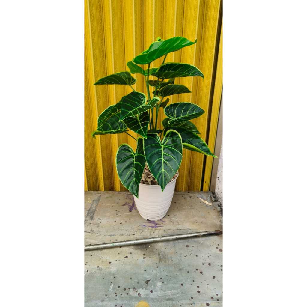 Tanaman Talas/Tanaman Artificial/Tanaman Plastik