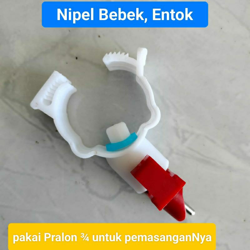 Nipel Bebek, entok pararel alat minum