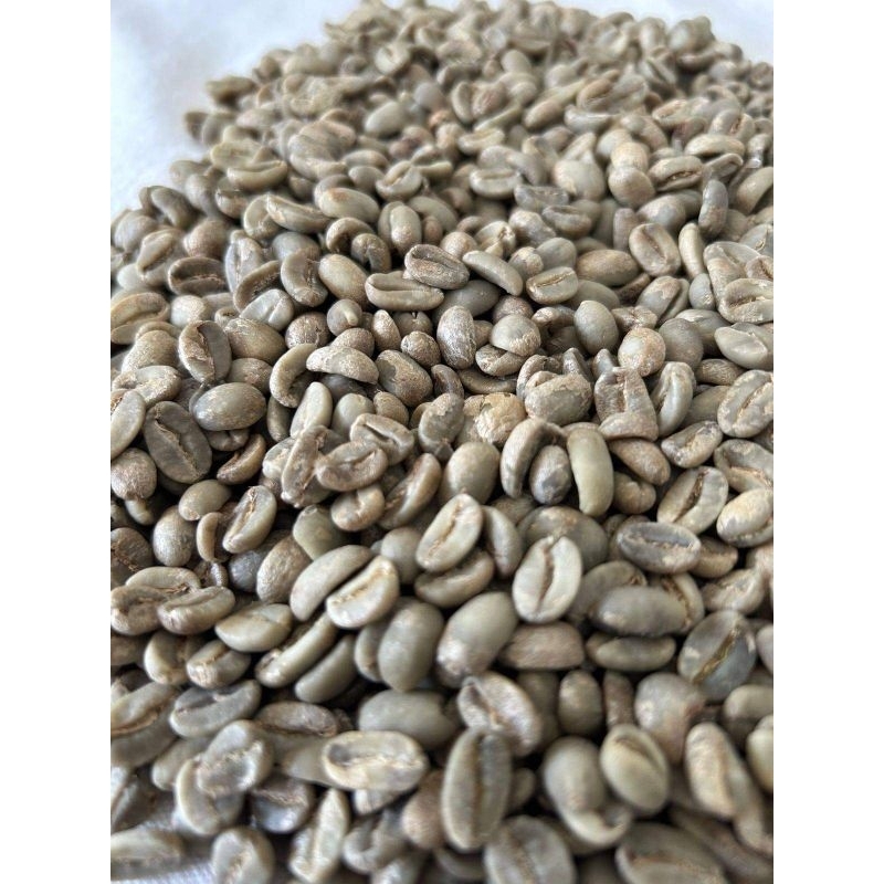 

biji kopi (Bean)_kopi arabica