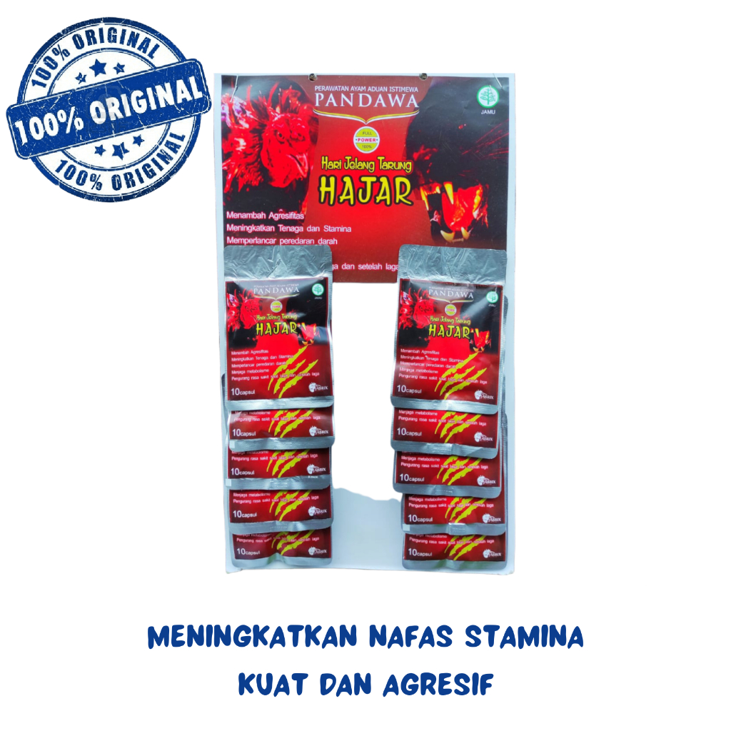 PANDAWA HAJAR 1 RENTENG - Doping ayam / jamu ayam hari jelang tarung