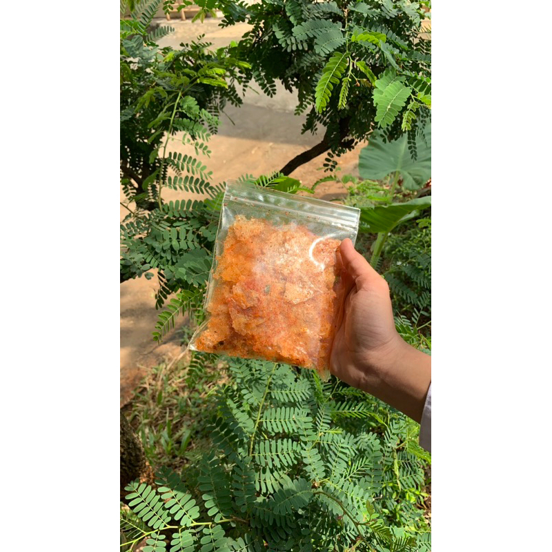 

kripca pedas