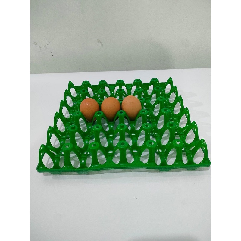 Wadah telur egg tray tatakan telor tempat rak telur plastik 30 butir