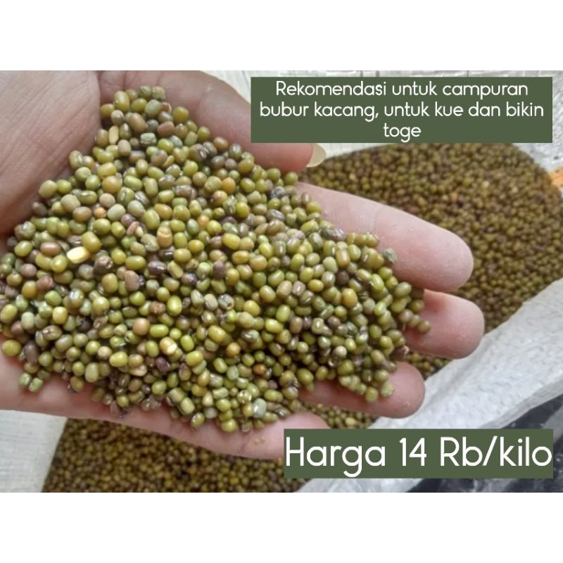 1 KG KACANG IJO KWALITAS B BISA UNTUK CAMPURAN BUBUR KACANG, BUAT TOGE DAN KUE
