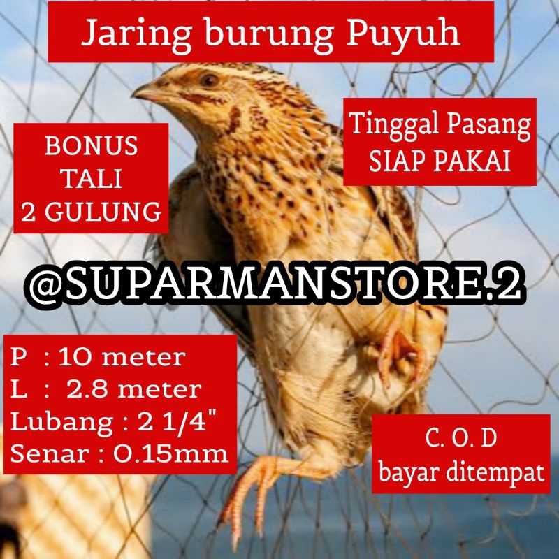 JARING BURUNG PUYUH 10 METER JARING BURUNG PUYUH 10X3M JARING BURUNG 2 JARI JARING BURUNG PUYUH SIAP