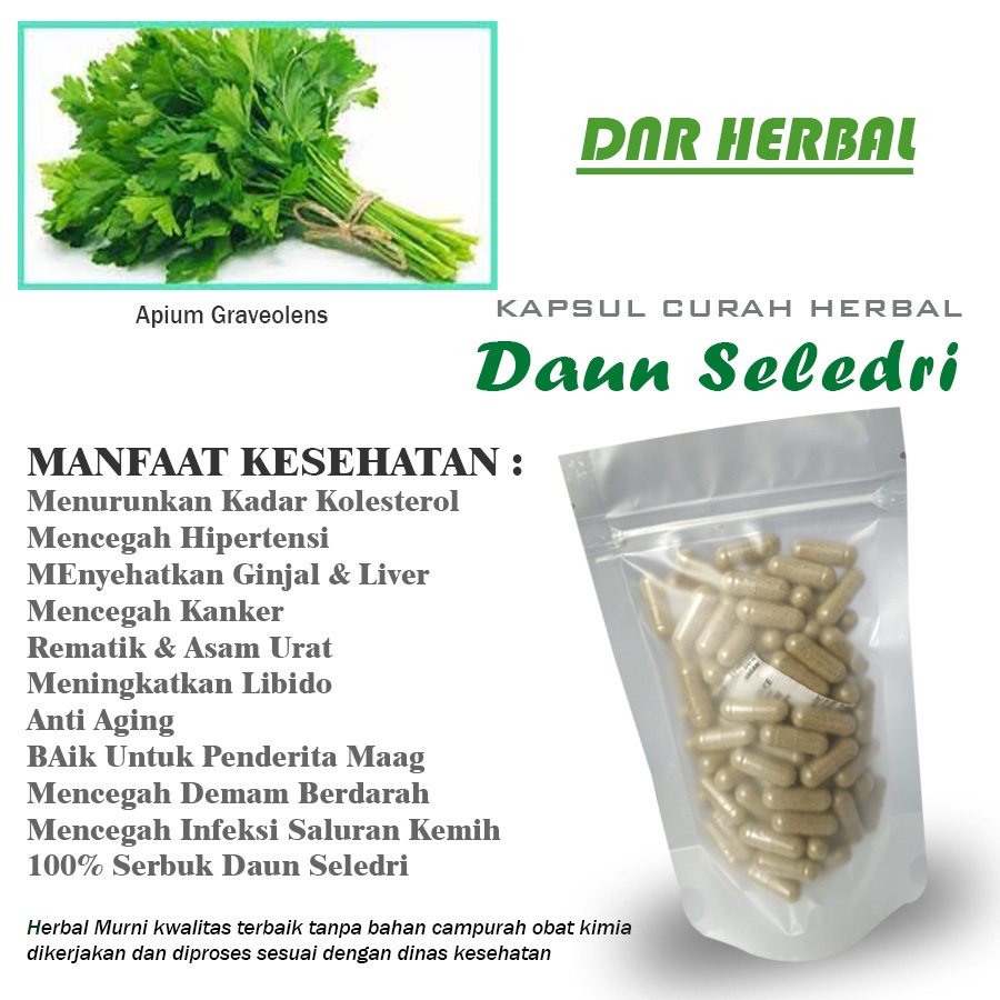 DAUN SELEDRI 100 Kapsul Herbal Kolesterol Libido Jerawat Rambut Rontok