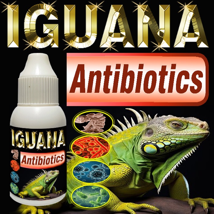 IGUANA ANTIBIOTICS MULTIVITAMIN REPTILE SUPLEMEN OBAT DIARE DAN PENYAKIT PERNAPASAN PNEUMONIA PILEK 
