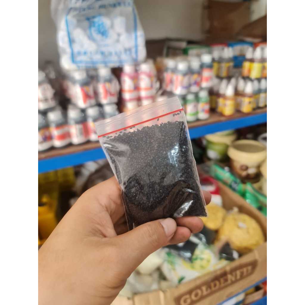 

Basil Seed Import 25gram / Biji Selasih Import 25gram