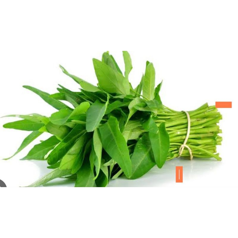 

kangkung fresh