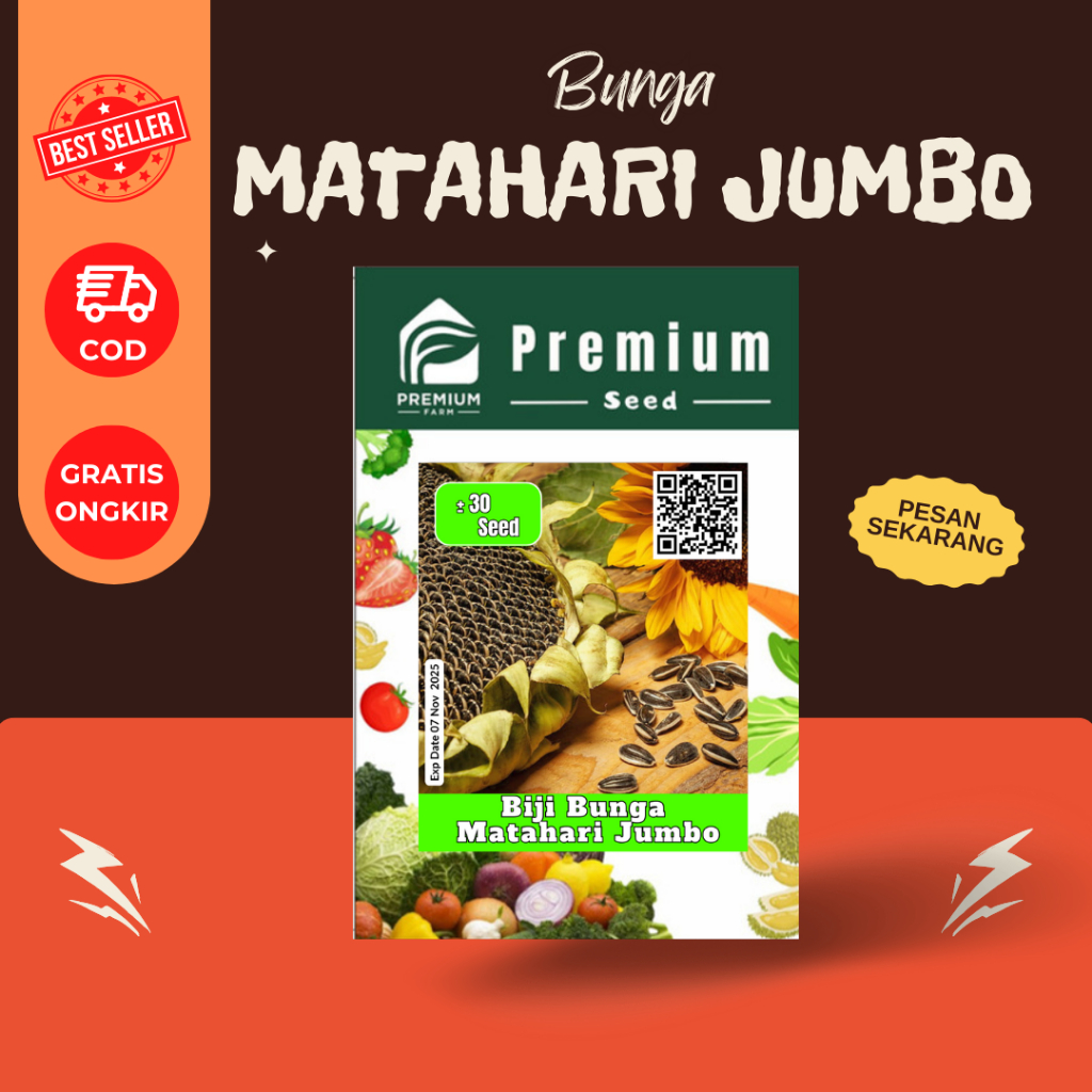 Benih BIJI BUNGA MATAHARI JUMBO
