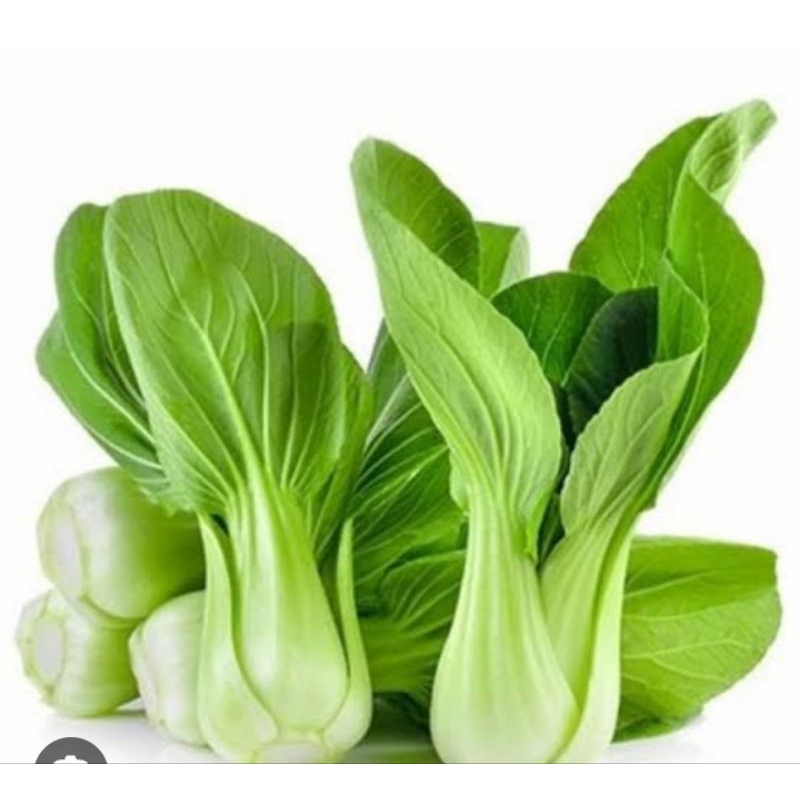 

500g sayur pokcoy / pampang online