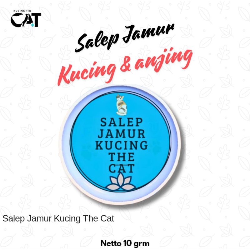 obat salep jamur kucing ampuh - salep luka jamur - salep scabies kucing