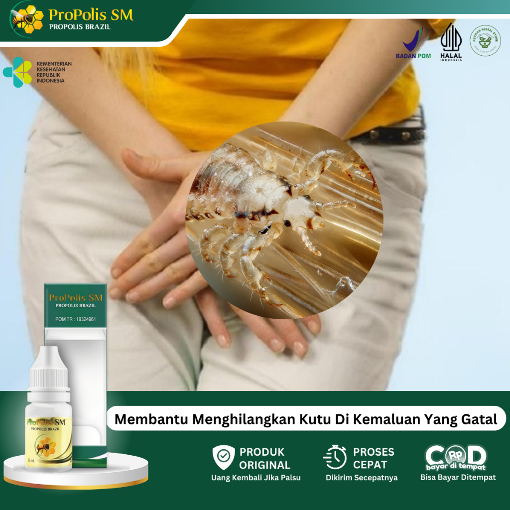 Salep Untuk Gatal Kemaluan, Obat Gatal Rambut Kemaluan, Obat Pembasmi Kutu Kemaluan, Obat Gatal Kela