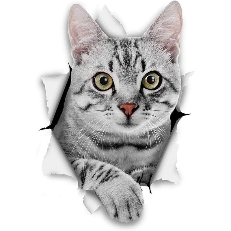 

stiker kucing lucu 3d print cut