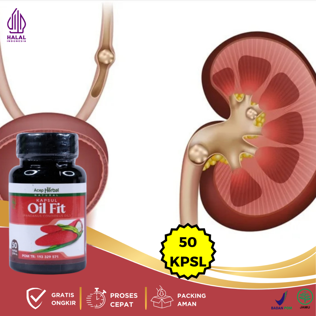 Obat Batu Ginjal, Obat Gagal Ginjal, Obat Herbal Ginjal Kotor, Obat Penyakit Ginjal Kronis, Obat Inf