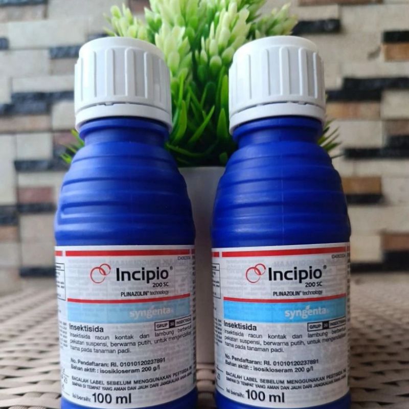 Insektisida INCIPIO 100 ML ✓SYNGENTA