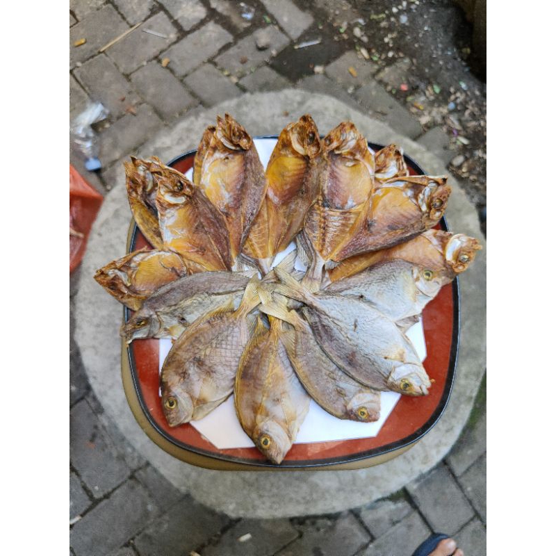 

ikan kering baronang, baronang kering, tidak asin. harga 1 pcs