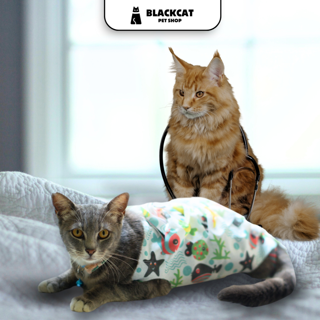 Ratoo Blackcat Gurita Kucing Pasca Operasi Baju Gurita Setelah Steril Kucing