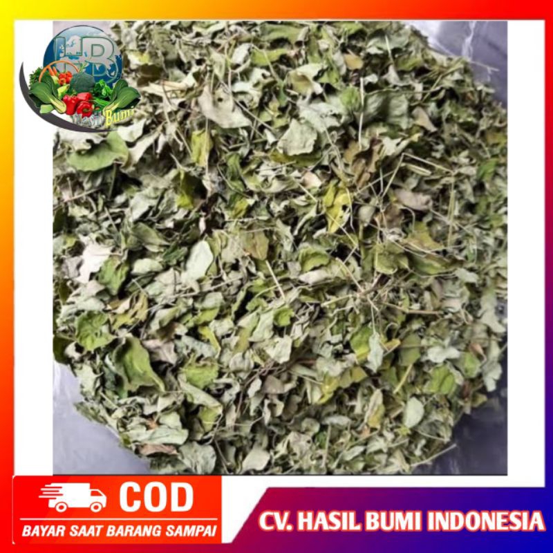 

Daun kelor kering 100gram bersih original