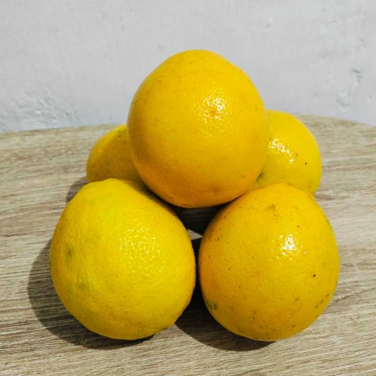 

Buah Lemon Segar ukuran 1Kg