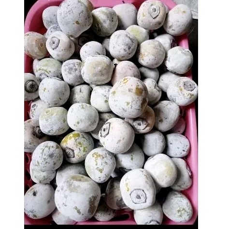 

Buah kesemek lokal murah 1kg ready stok manis