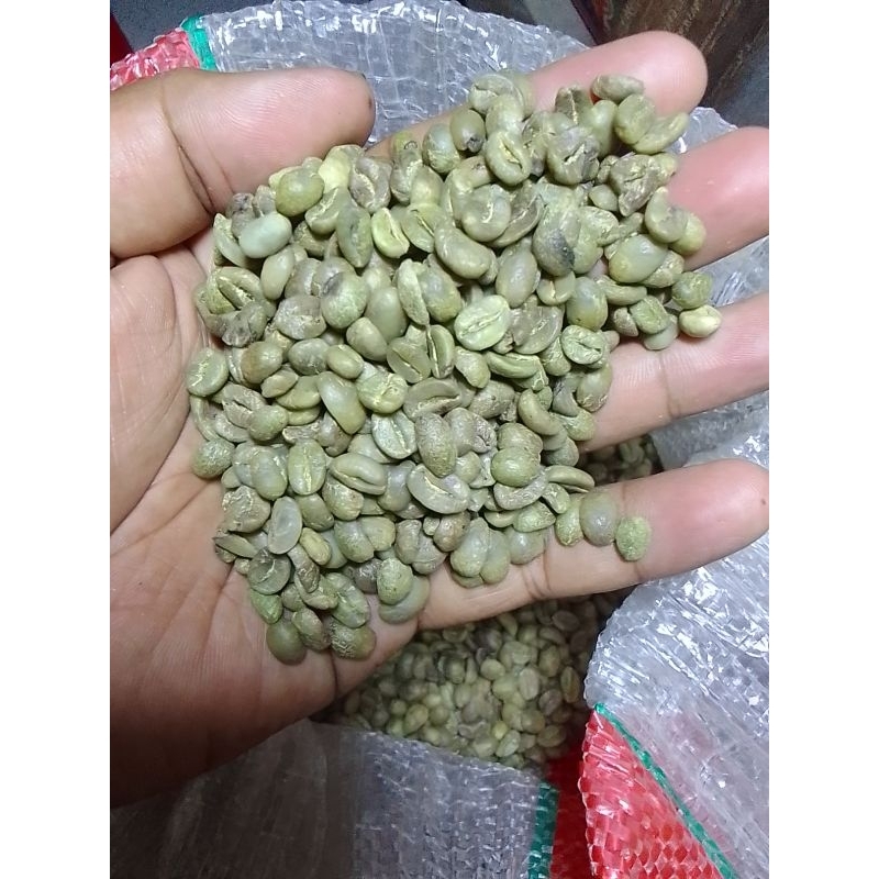 

GREENBEEN KOPI ARABIKA (BIJI KOPI ARABIKA)