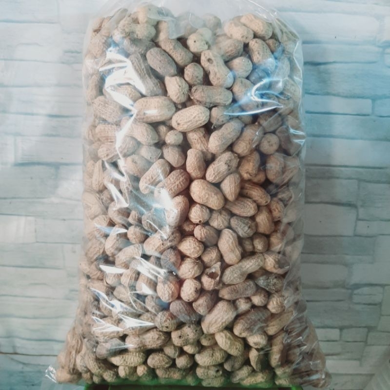 

KACANG KULIT SANGRAI BERAT 1 KG.