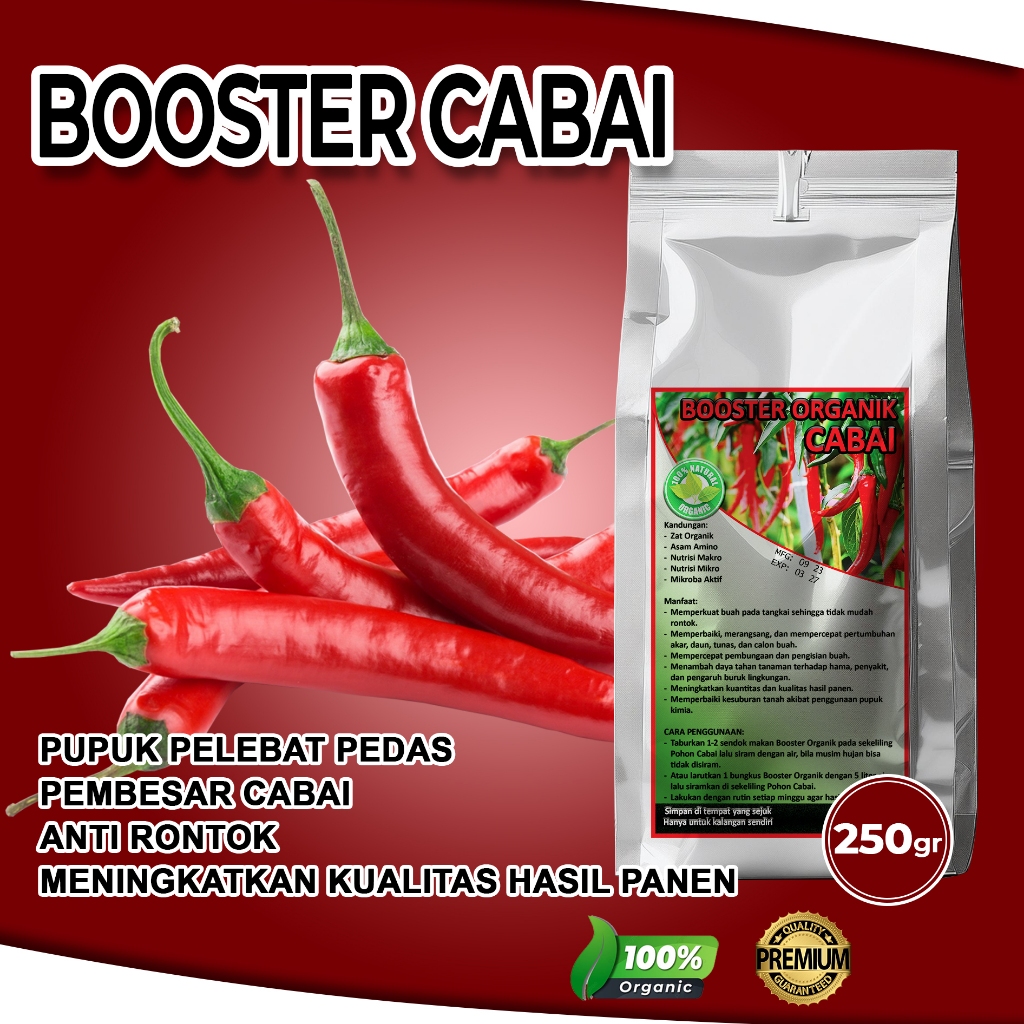 Pupuk Booster Cabe Cepat Berbuah Lebat Pupuk Pelebat Cabe Rawit Pupuk Pelebat Cabe Merah Cabe Rawit