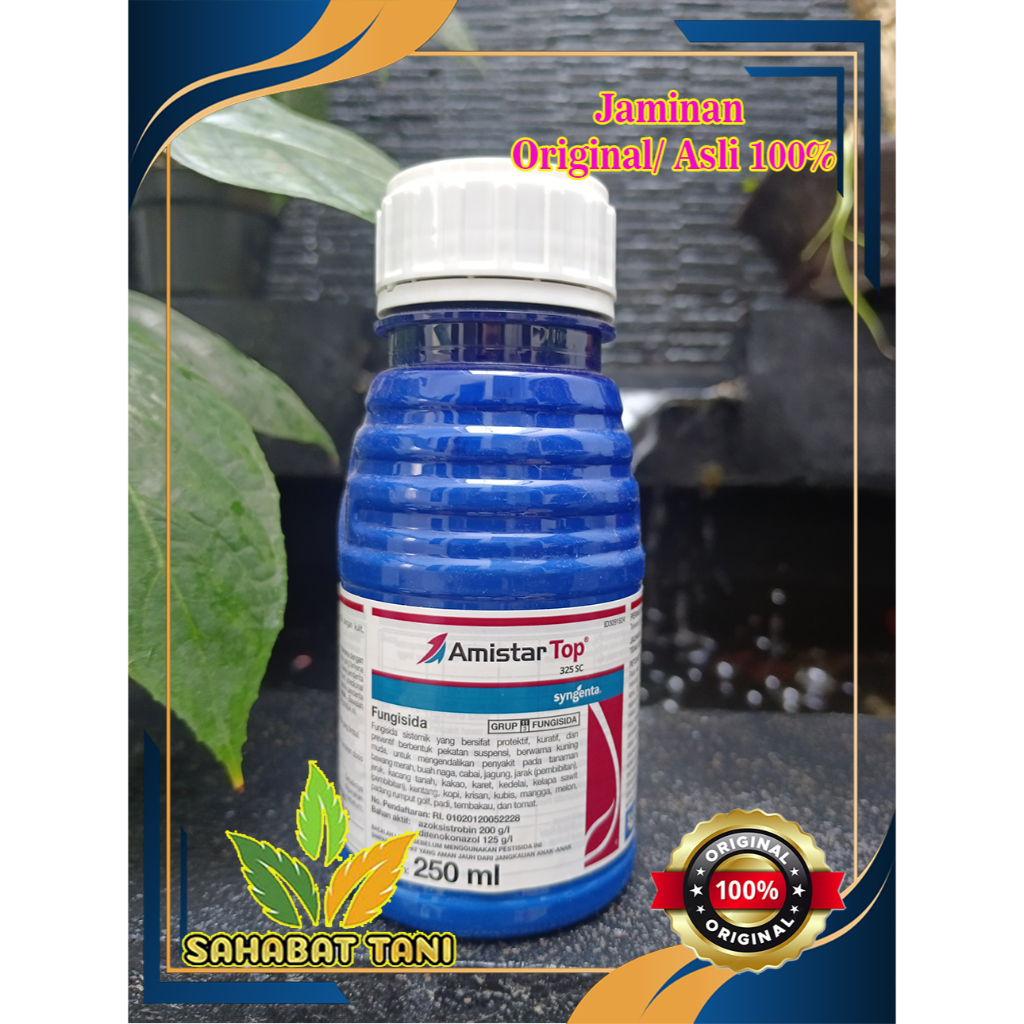 Fungisida + ZPT AmistarTop 325SC 250 ml ORIGINAL ASLI 100% | AmistarTop 250ml
