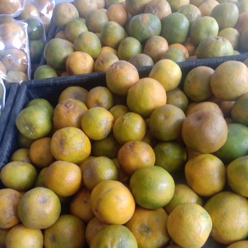 

Jeruk Keprok 900-1.000gr