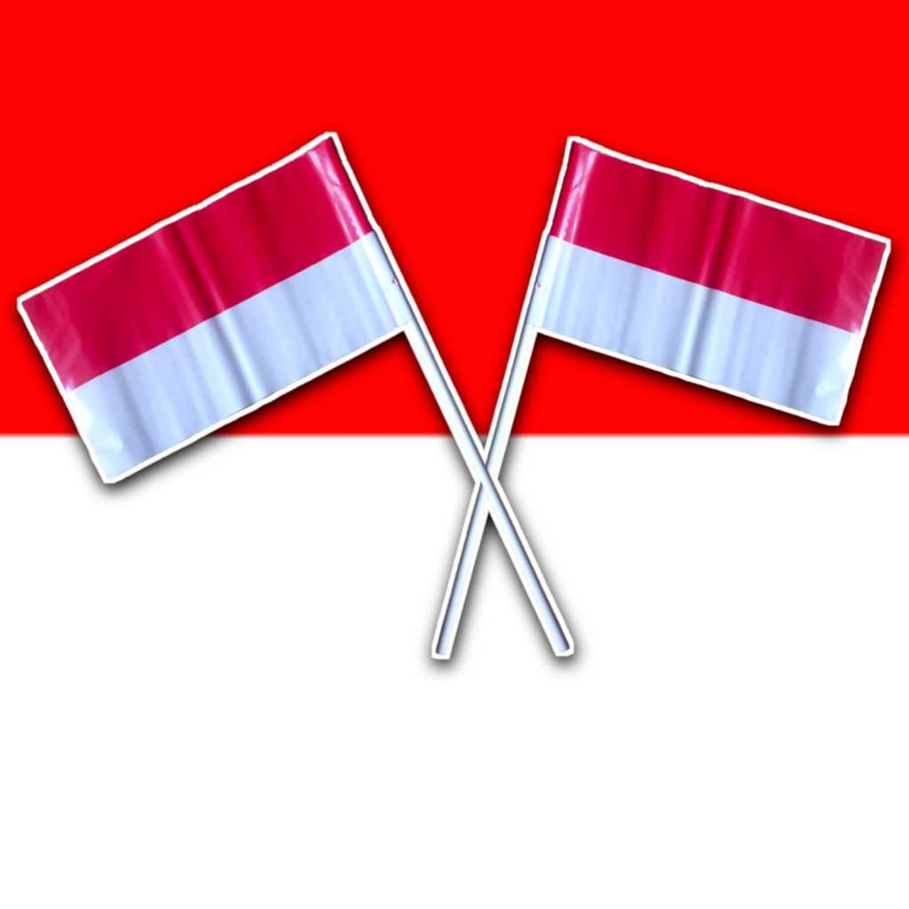 10 PCS BENDERA MERAH PUTIH GAGANG BESAR / BENDERA GENGGAM PLASTIK/ BENDERA INDONESIA / BENDERA MINI 