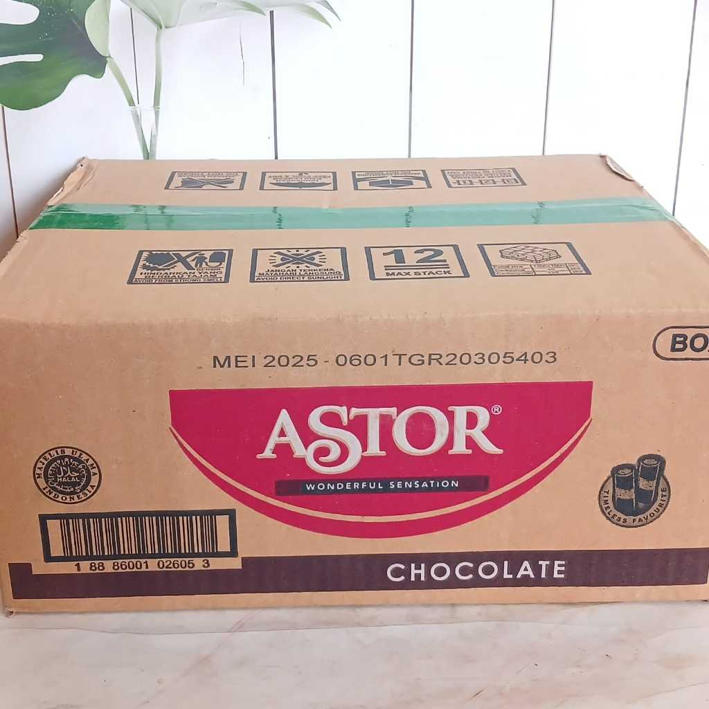 

Astor Wafer Stick Kartonan isi 36box x 40gr