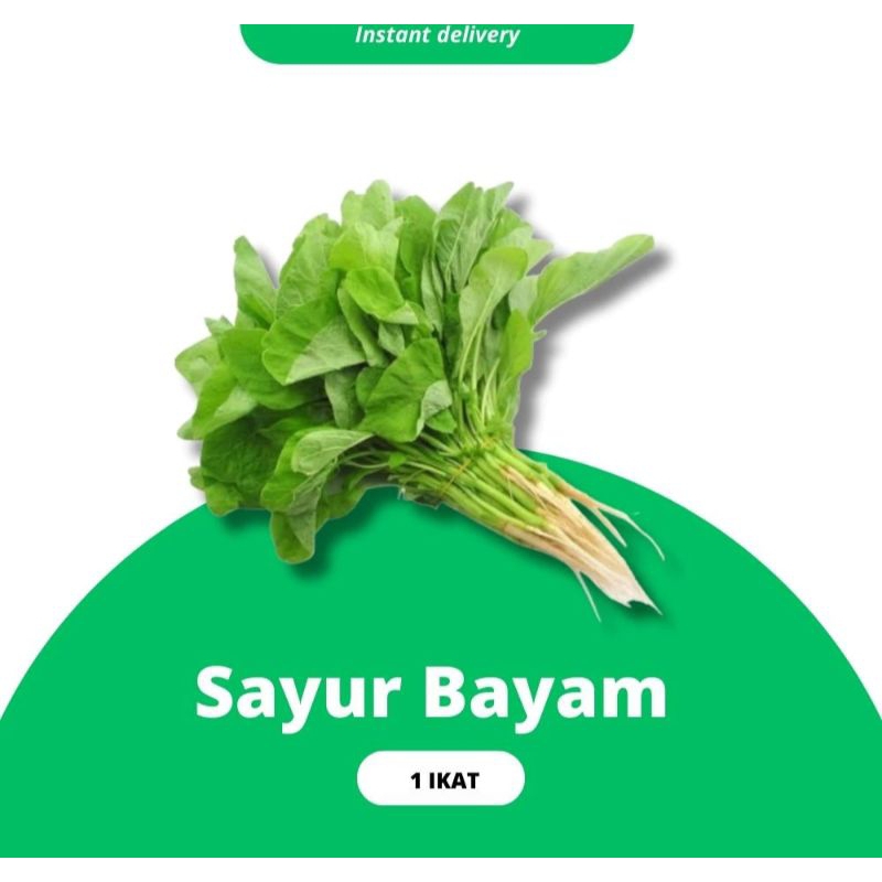 

SAYUR BAYAM FRESH 1 IKAT