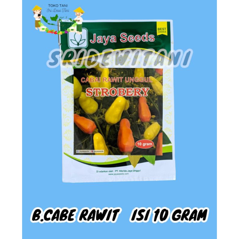 Isi 2000 biji Bibit Cabe Rawit STROBERY / DOMBA 10 GRAM JAYA SEED Benih Cabai Unggul Tahan Patek Pre