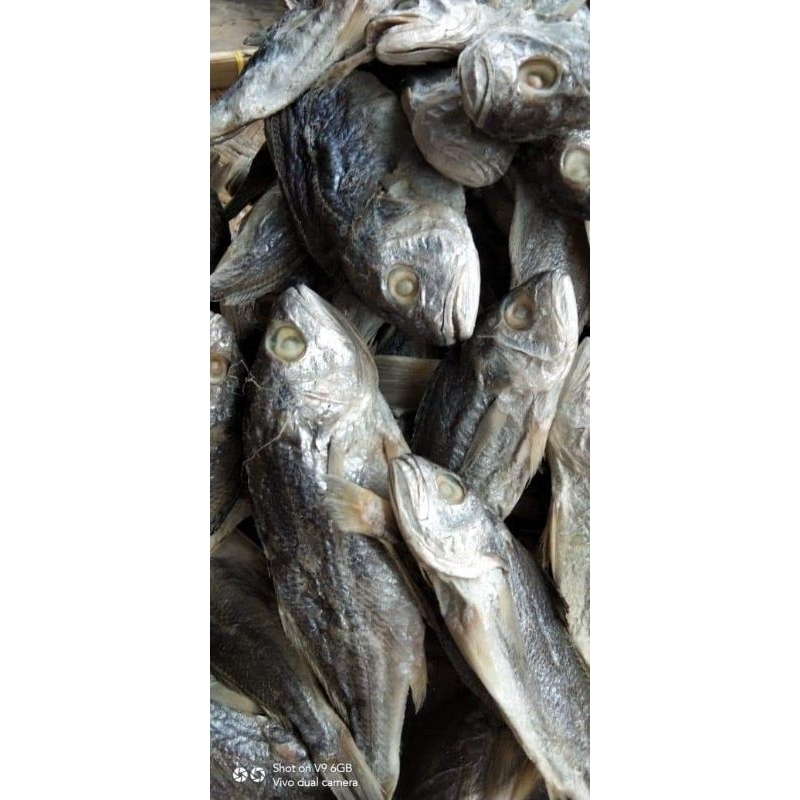 

ikan asin kepala batu