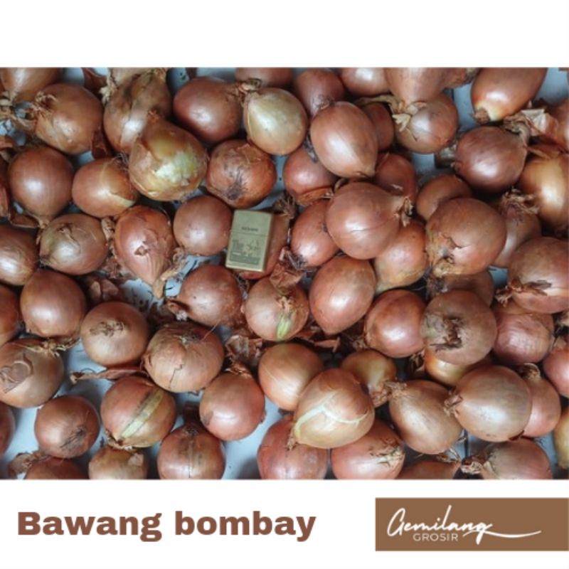 

Bawang bombay import 1kg Kualitas bagus