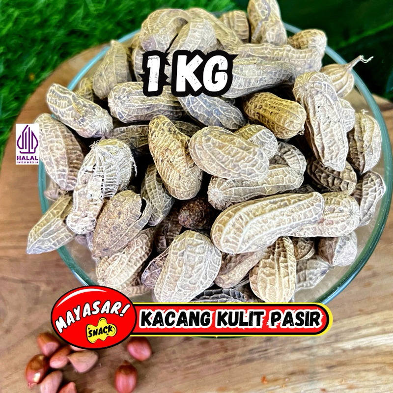 

KACANG PASIR MAYASARI KILOAN 1KG