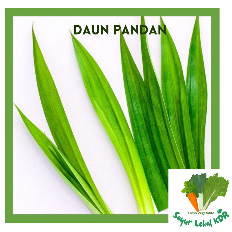 

• DAUN PANDAN WANGI SEGAR BERSIH 1IKAT 250gr